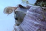 Photo_02_512x265